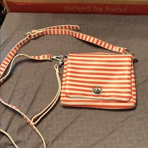 Charming Charlie Purse.